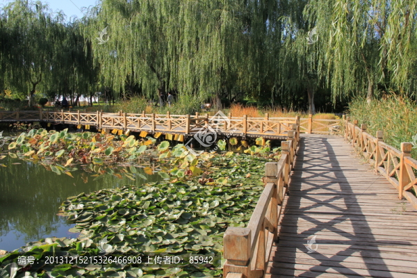 木橋