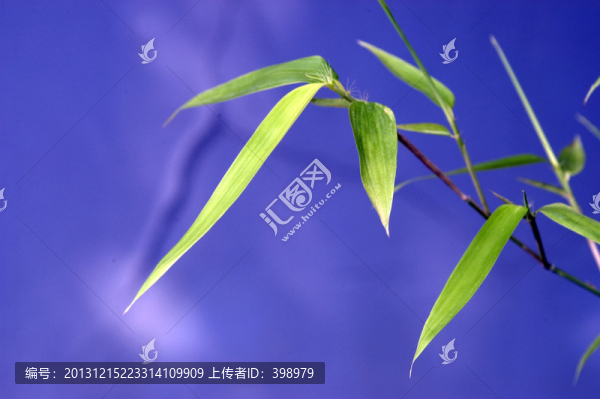 竹子