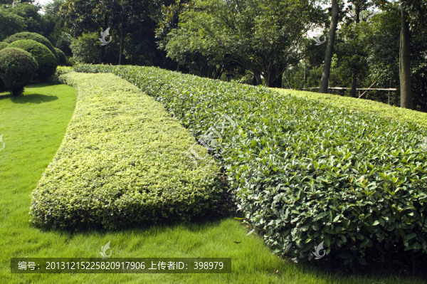 園林景觀