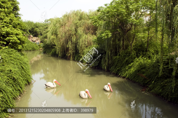 園林景觀