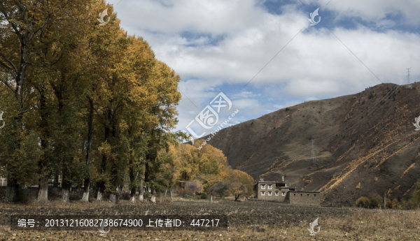 康定新都橋秋色