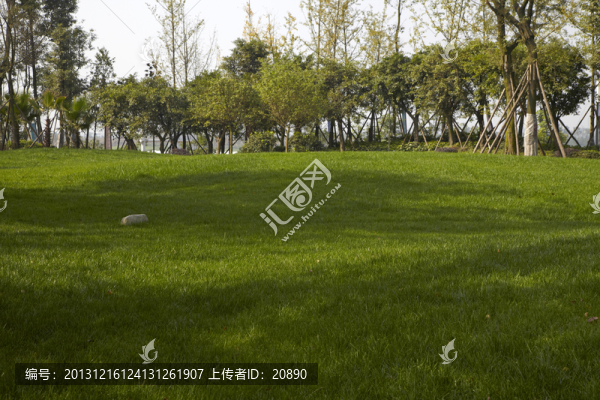小區(qū)樓盤(pán)園林景觀植物綠化