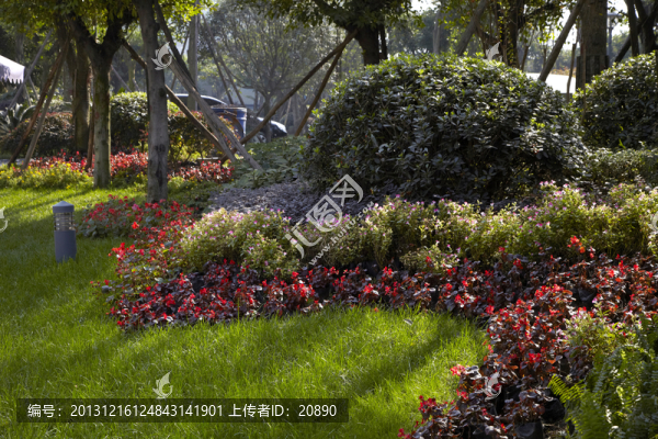 小區(qū)樓盤園林景觀植物綠化