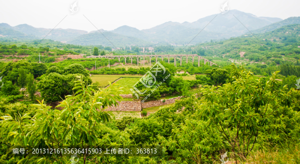 青山
