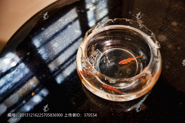 金魚(yú)缸