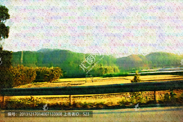 田野風光