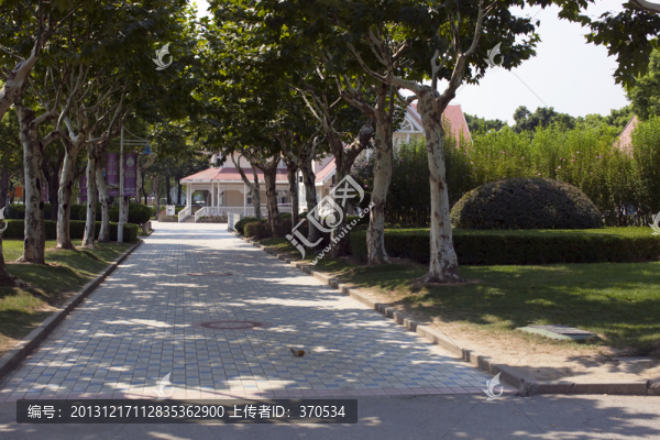 上海,東方綠舟,公園,道路