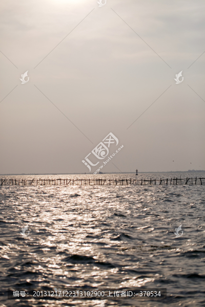 淀山湖,水面,公園,戶外,晴天