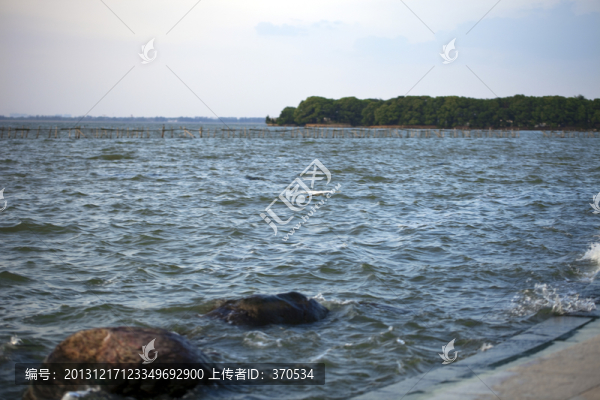 淀山湖,水面,公園,戶外,晴天