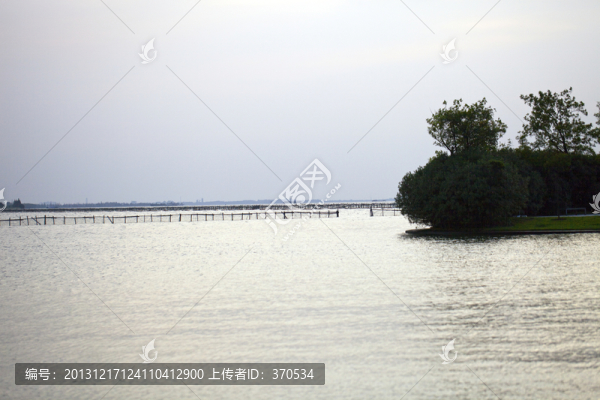 淀山湖,水面,公園,戶外,晴天