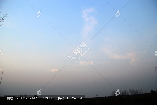 田野