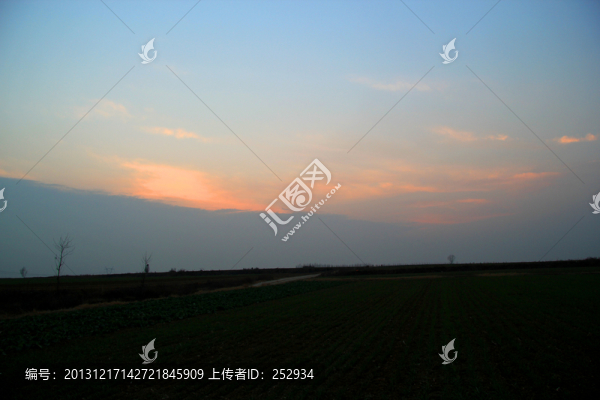 田野