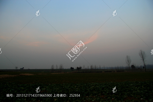 田野