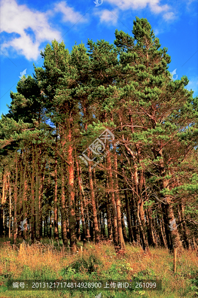英國(guó)風(fēng)景（非高清）