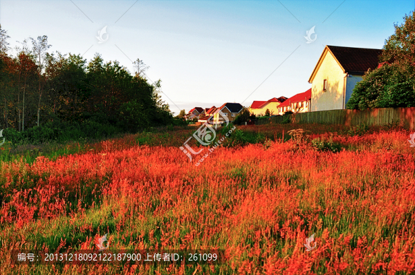 英國(guó)風(fēng)景（非高清）