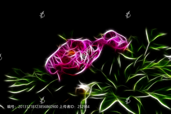 牡丹