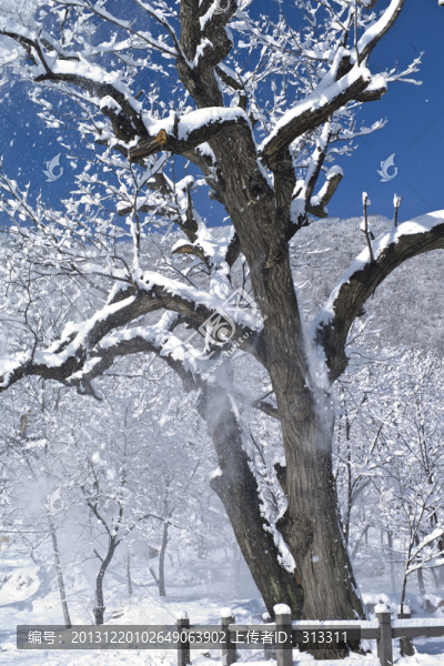 水長城雪景