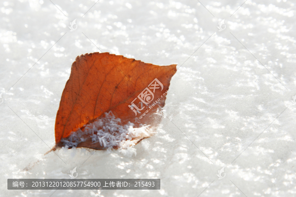 冰雪,晶瑩,落葉