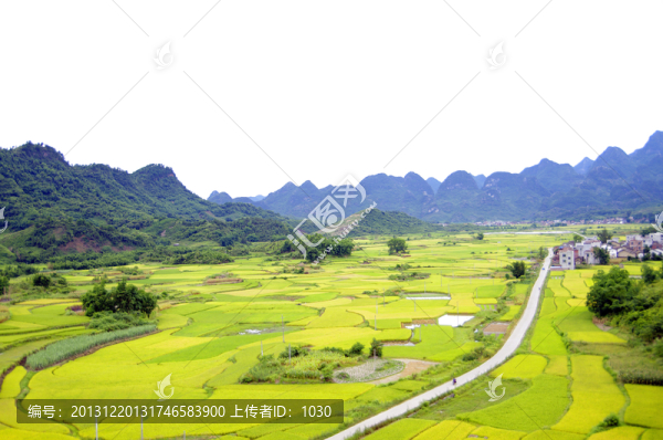 田園風(fēng)光