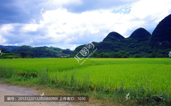 田園風(fēng)光