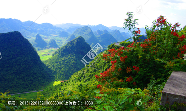 青山