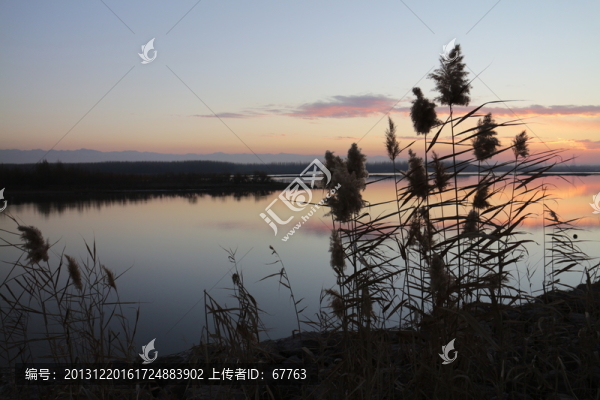 蘆葦暮色