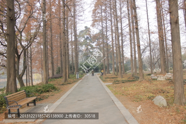 小路