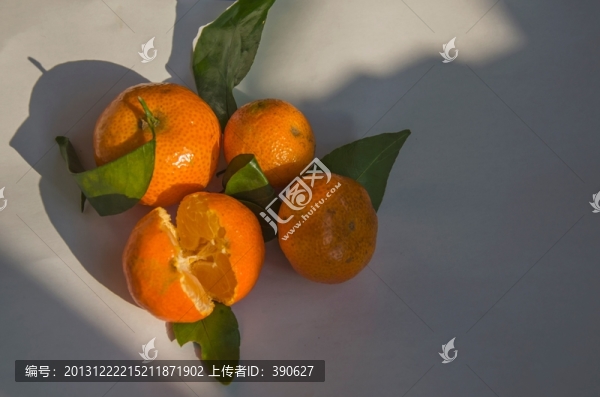 砂糖桔