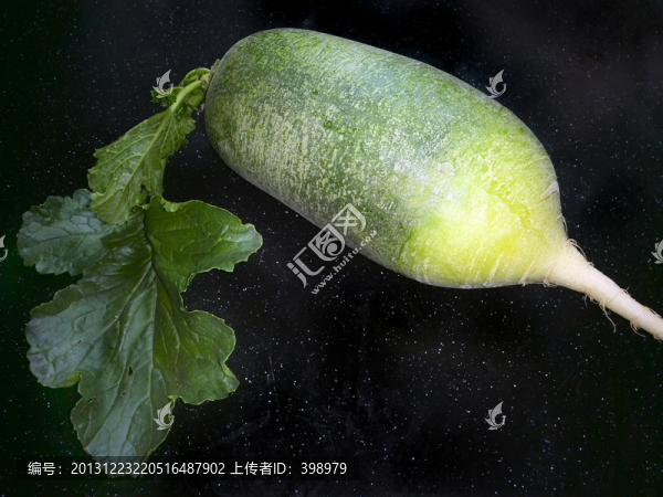 青蘿卜