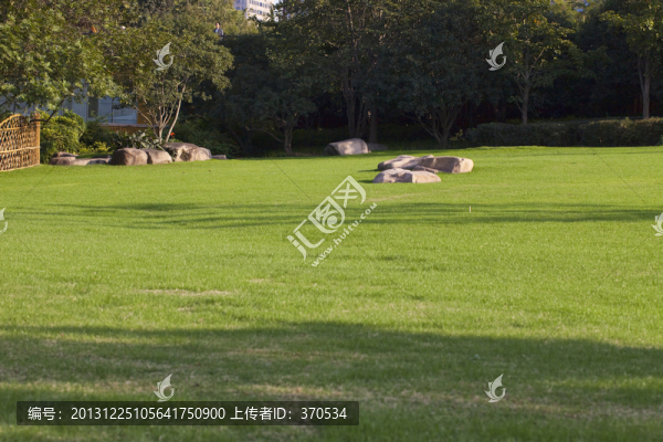 陽光,草坪,,城市,園藝,公園