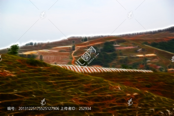 田野