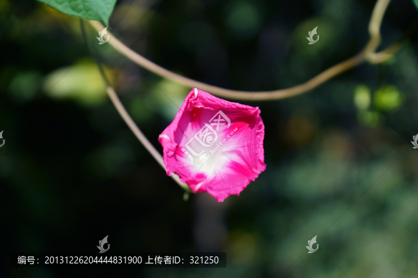 牽?；? title=