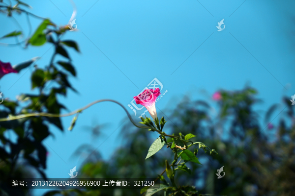 牽?；? title=