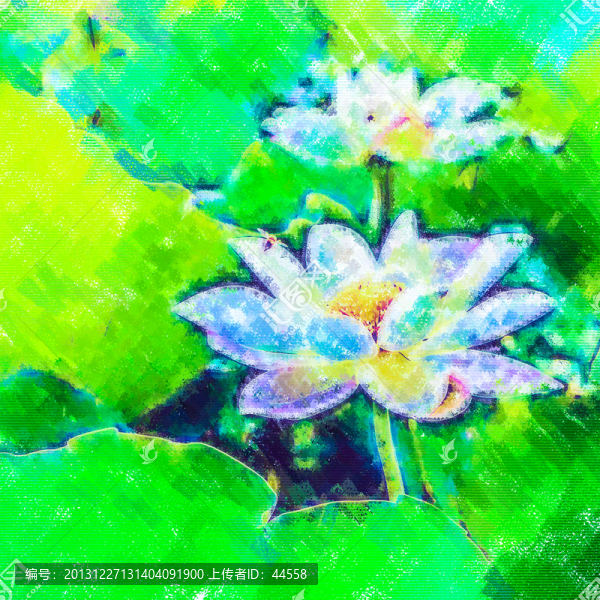 荷花