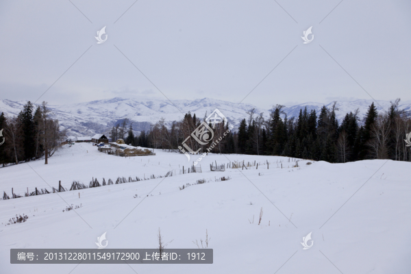 雪山森林