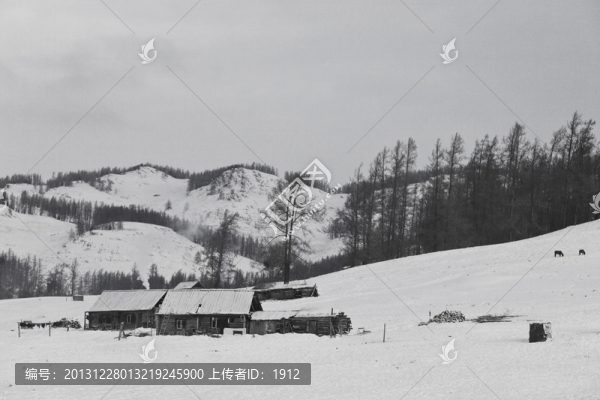山野