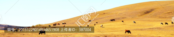 烏蘭布統(tǒng)草原風(fēng)光