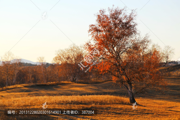 烏蘭布統(tǒng)草原