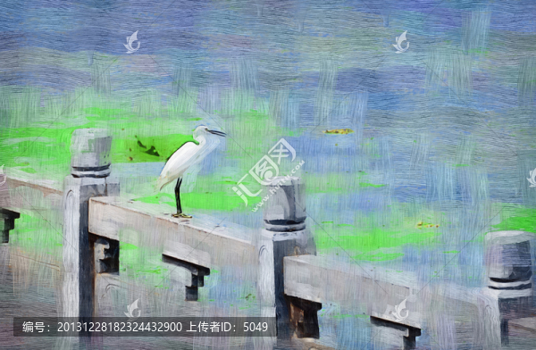 油畫,白鷺