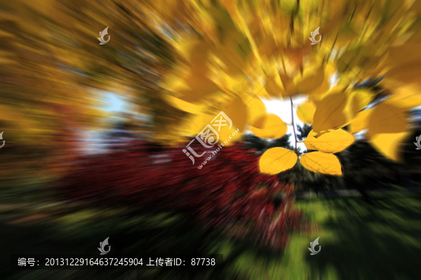 樹葉