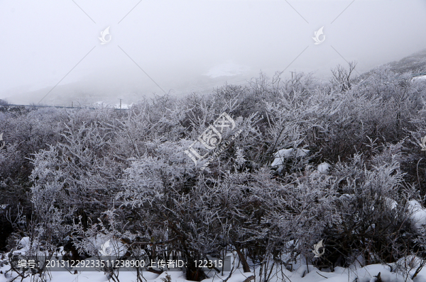 曾經(jīng)的那一場(chǎng)地雪雨霜風(fēng)
