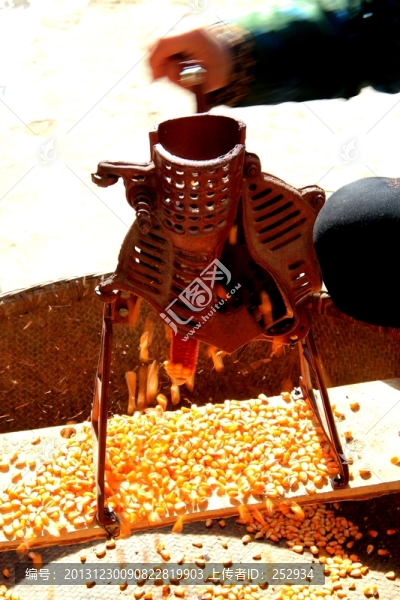 剝玉米