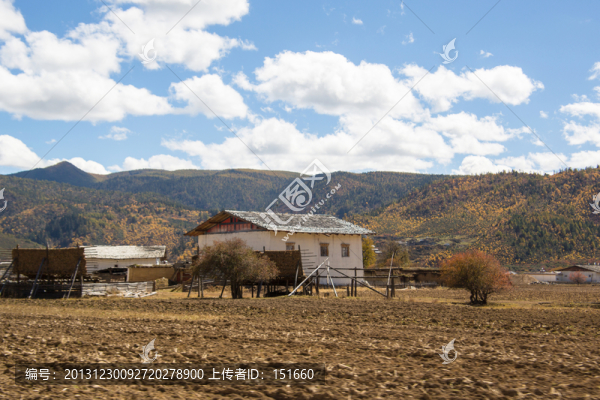 香格里拉田園