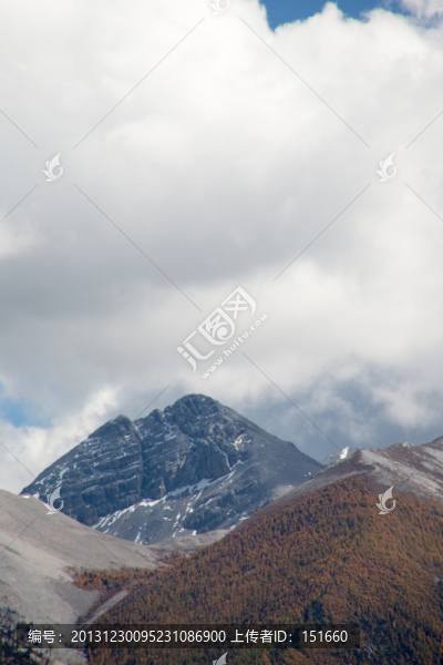 山