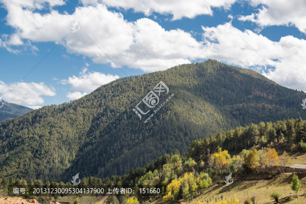 山