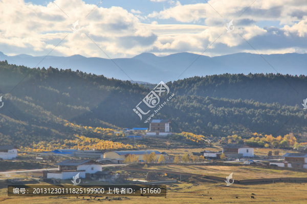 云南香格里拉田野