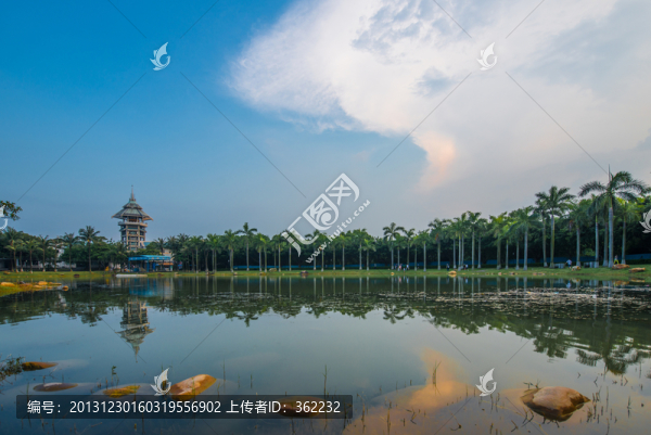 海上田園