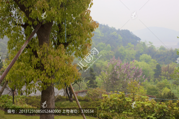 浙江,溫嶺,居住環(huán)境,鄉(xiāng)村