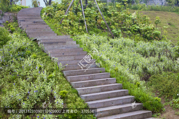 山莊別墅,道路,庭院,居住環(huán)境