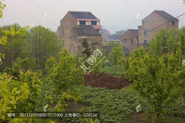 浙江,溫嶺,居住環(huán)境,鄉(xiāng)村